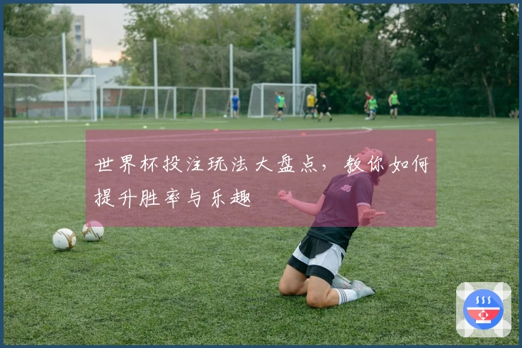 世界杯投注玩法大盘点，教你如何提升胜率与乐趣