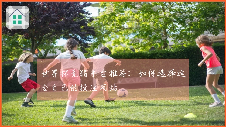 世界杯竞猜平台推荐：如何选择适合自己的投注网站
