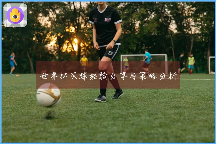 世界杯买球经验分享与策略分析