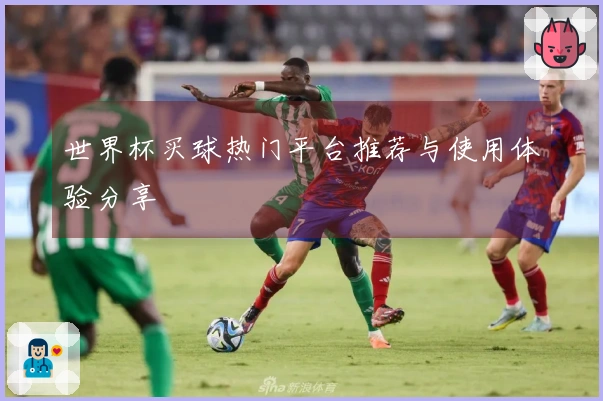 世界杯买球热门平台推荐与使用体验分享